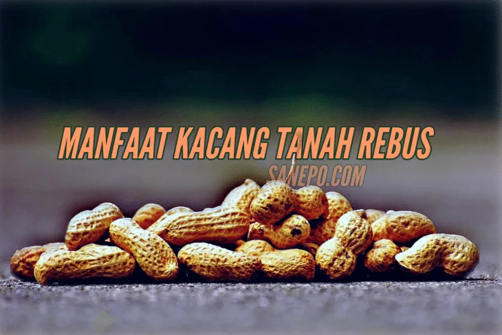 12+ Manfaat Kacang Tanah Rebus Bagi Kesehatan