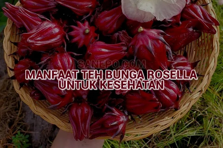 Teh dari Bunga Rosella yang Bermanfaat Bagi Kesehatan 7 Manfaat Teh Bunga Rosella Bagi Kesehatan