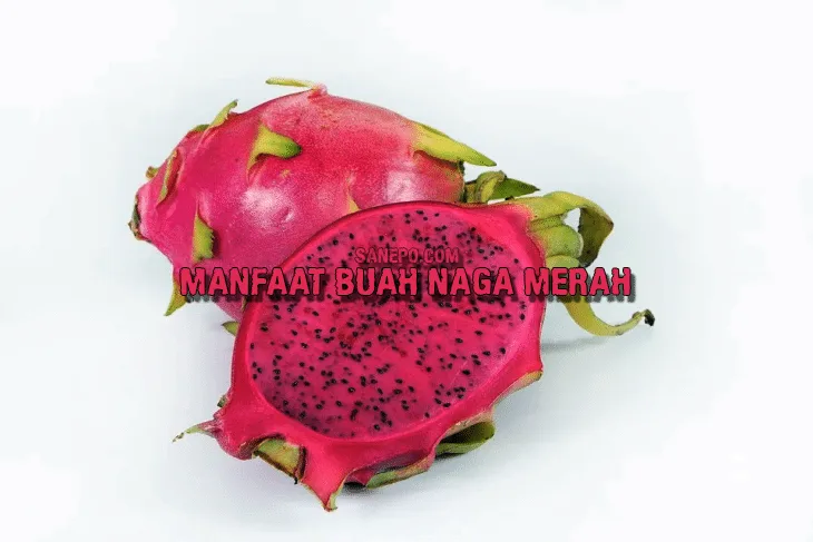 Manfaat Buah Naga Merah Untuk Kesehatan Lambung Kita