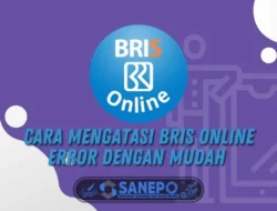 √ Cara Mengatasi BRIS Online Error dengan Mudah