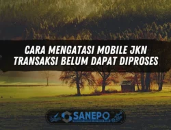 Cara Mengatasi Mobile JKN Transaksi Belum Dapat Diproses
