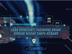 Cara Mengganti Password BRImo dengan Mudah Tanpa ke Bank