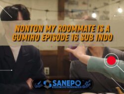 Nonton My Roommate Is A Gumiho Episode 16 Sub Indo 1 Nonton My Roommate Is A Gumiho Episode 16 Sub Indo