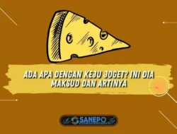 Ada Apa dengan Keju Joget? Ini Dia Maksud dan Artinya