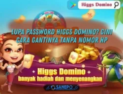 Cara Reset Password Higgs Domino Tanpa Nomor Hp