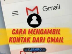 2 Cara Mengambil Kontak Dari Gmail Secara Otomatis Dan Manual