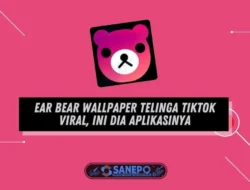 Ear Bear Wallpaper Telinga TikTok Viral, Ini Dia Aplikasinya