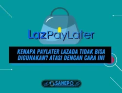 Kenapa Paylater Lazada Tidak Bisa Digunakan? Atasi dengan Cara Ini