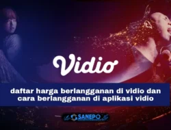 Daftar Harga Berlangganan Vidio Dan Cara Langganan di Aplikasi Vidio
