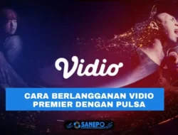 6 Cara Berlangganan Vidio Premier Dengan Pulsa Paling Mudah