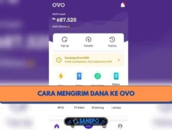 Cara Mengirim DANA Ke OVO Hanya 9 Langkah Paling Mudah