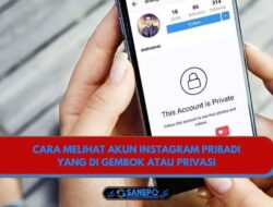 3 Cara Melihat Ig Yang Tergembok Paling Ampuh Untuk Melihat Akun Instagram Pribadi Yang Di Privasi 2 3 Cara Melihat Ig Yang Tergembok Paling Ampuh Untuk Melihat Akun Instagram Pribadi Yang Di Privasi