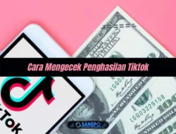 2 Cara Mengecek Penghasilan Tiktok Sendiri Paling Mudah