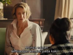 Nonton Film Me Before You Sub Indo Full Movie Secara Resmi di CatchPlay
