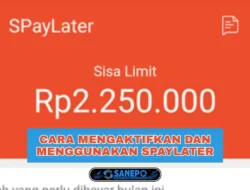 Syarat Dan Cara Menggunakan Shopeepay Later Paling Mudah Hanya 5 Langkah