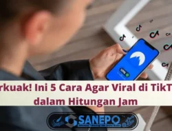 Terkuak! Ini 4 Cara Agar Viral di TikTok dalam Hitungan Jam