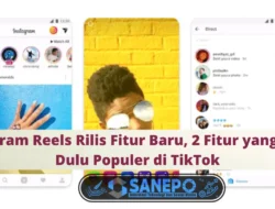 Instagram Reels Rilis Fitur Baru,  2 Fitur yang Lebih Dulu Populer di TikTok