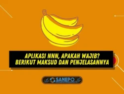 Aplikasi NNN, Apakah Wajib? Berikut Maksud dan Penjelasannya