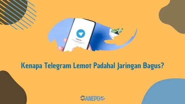 Kenapa Telegram Lemot Padahal Jaringan Bagus? Berikut Cara Mengatasinya