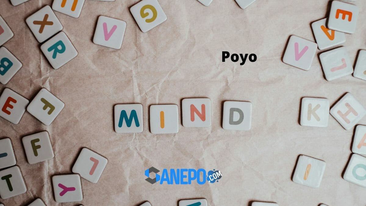 apa arti kata poyo