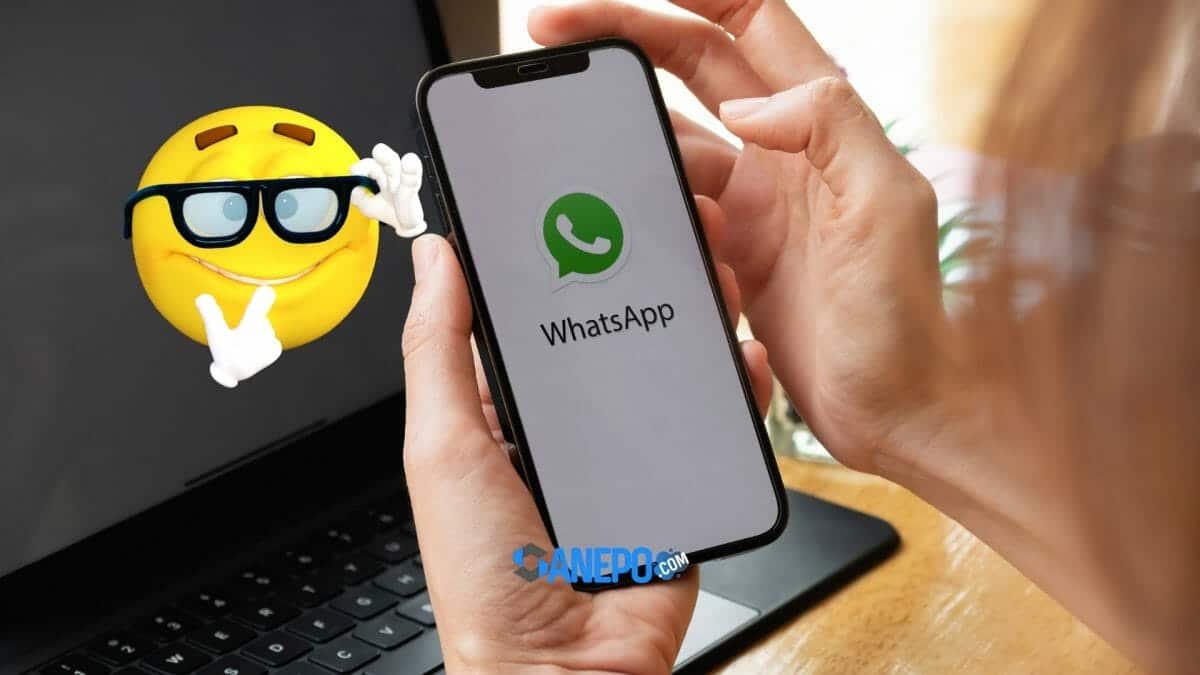 cara mendapatkan emoji baru di WhatsApp 2022