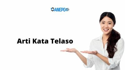 apa arti kata Telaso dalam bahsa Sulawesi Selatan dan bahasa gaul