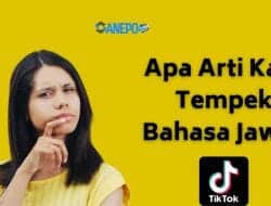 Arti Kata Tempek Bahasa Jawa dan Dalam Bahasa Gaul