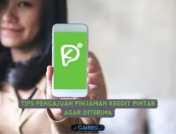 Pengajuan Kredit Pintar Ditolak?  Ini dia Tips Agar Pengajuannya di Terima
