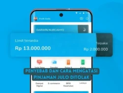 Pinjaman Julo Ditolak? ini Penyebab dan Cara Mengatasinya