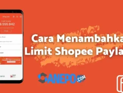 5 Cara Menambahkan Limit Shopee Paylater dengan Cepat