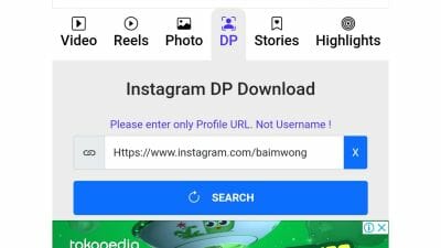 cara melihat foto profil Instagram tanpa aplikasi