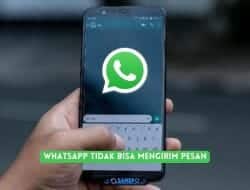 Whatsapp Tidak Bisa Mengirim Pesan, ini dia Penyebab dan Cara Mengatasinya
