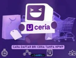 Syarat dan Cara Daftar BRI Ceria Tanpa Npwp, Mudah dan cepat Cair