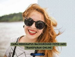 2 Cara Menghapus Background Foto Jadi Transparan Online Mudah Tanpa Aplikasi