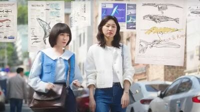 Link Nonton Extraordinary Attorney Woo Episode 12 Sub Indo Full HD, Terbaru Young Woo Hadapi Kasus Diskriminatif Gender