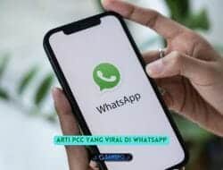 Apa Arti PCC di WA? ini dia Penjelasan dan Artinya