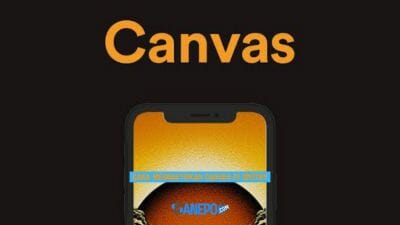 Cara Mengaktifkan Canvas di Spotify Android atau iOS, Mudah