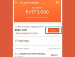 Sudah Bayar Shopee Paylater Tapi Masih Ada Tagihan? Begini Solusinya!