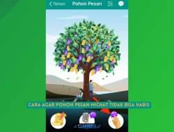 3 Cara Agar Pohon Pesan Michat Tidak Bisa Habis dan Unlimited