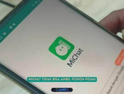 Michat Tidak Bisa Ambil Pohon Pesan? ini dia Penyebabnya