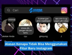 Alasan Kenapa Tidak Bisa Menggunakan Fitur Baru Instagram