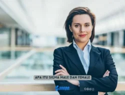 Apa itu Sigma Male Dan Female? Tipe Kepribadian Atau Sifat Seseorang