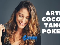 Arti Cocop Tang Pokeh dalam Bahasa Gaul yang Viral di Tiktok