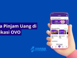 Cara Pinjam Uang di Aplikasi OVO dengan Sangat Mudah