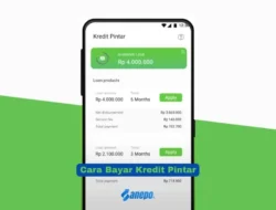 4 Cara Bayar Kredit Pintar dengan Bank BRI atau Bank Lain