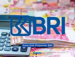 4 Cara Cek Pinjaman BRI Secara Online dan Offline Termudah