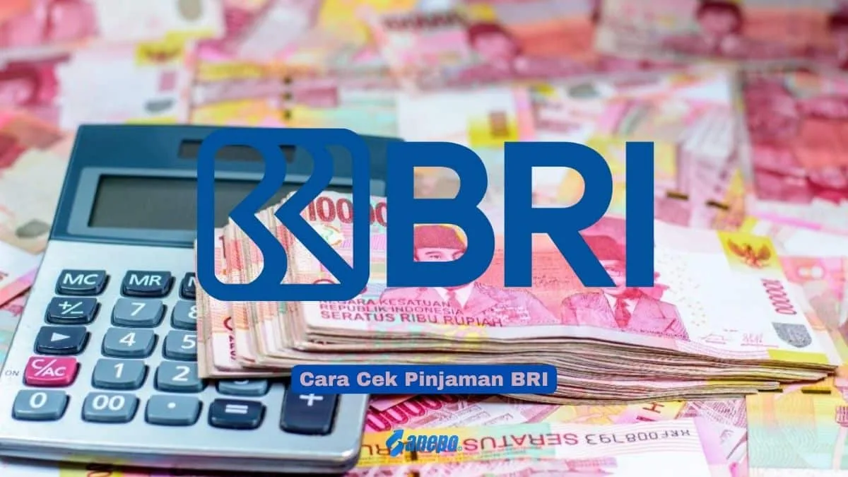 4 Cara Cek Pinjaman BRI Secara Online dan Offline Termudah 8 Cara Cek Pinjaman BRI Secara Online