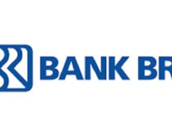 Cara Transfer ATM BRI ke DANA, Coba Langkah Mudah Ini
