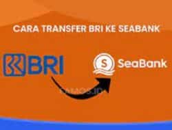 Cara TF ATM BRI ke Seabank, Ini Tutorial Lengkapnya