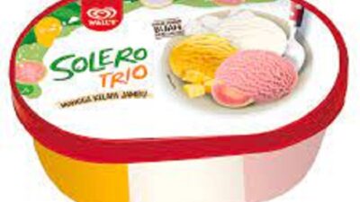 4 Cara Berlangganan Es Krim Walls, Bisa Untung Besar 2026